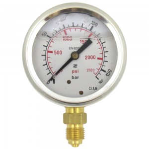 Manómetro vertical 1/4" 0-160 Bar 03318380